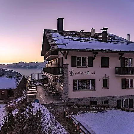 Hotel D'orzival 3*