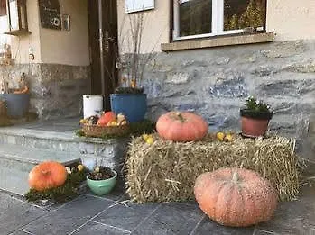 Hotel D'orzival 3*