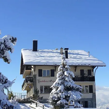 D'orzival ホテル 3*